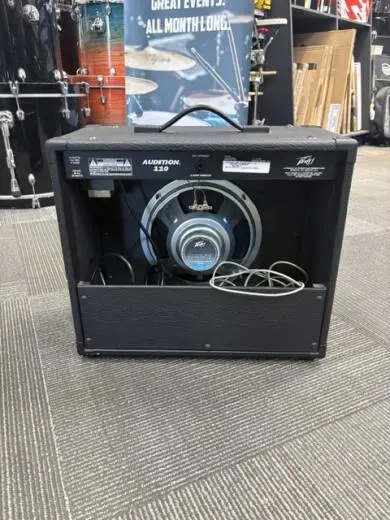 PEAVEY AUDITION 2